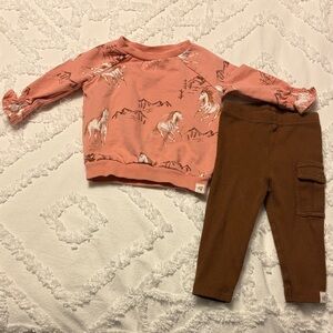 Burt’s Bees Baby horse love organic girl shirt and pants set, 3-6 month